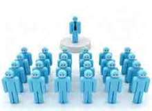 Organizational Structure
